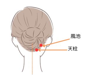 首のうしろにあるツボ　天柱　風池